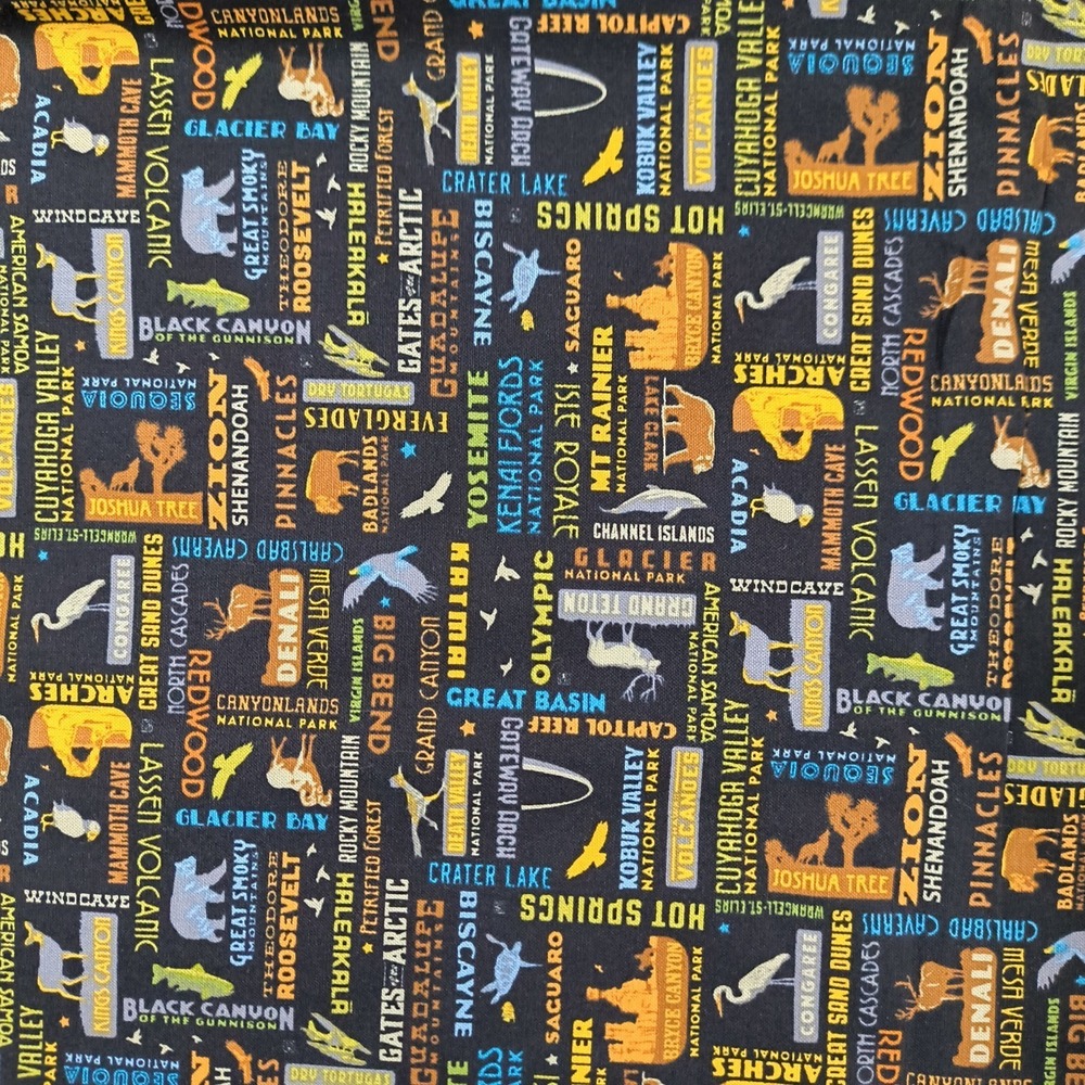 National Parks Fabric Riley Blake Designs C8784 Park Names 73x44 Black Retro New